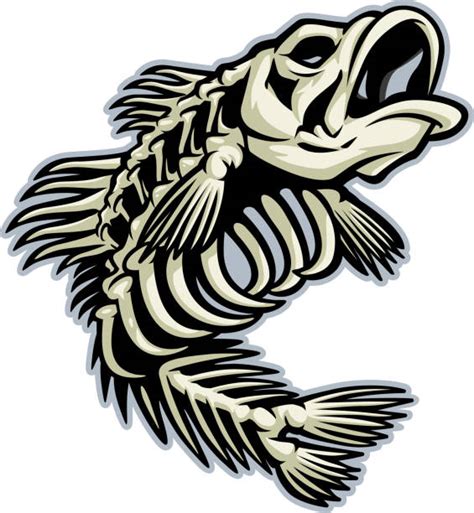4,500+ Fish Skeleton Stock Illustrations, Royalty.